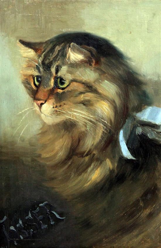 Florence N Street (Exh. 1884) Portrait of a tabby cat, 12 x 8in.